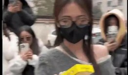 东北吃瓜最新事件爆料视频,最新爆料视频揭秘惊人内幕